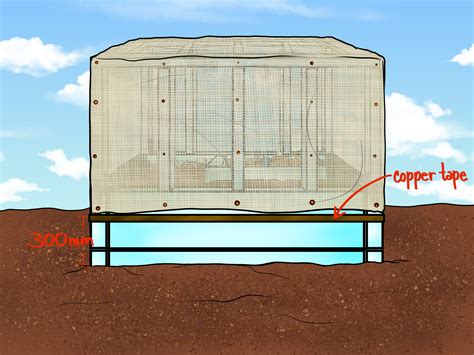 Wicking Garden Bed Diy | Fasci Garden