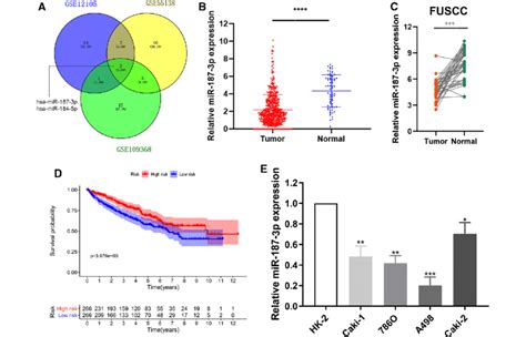 Screening And Identification Of Mir P For Ccrcc From Multiply