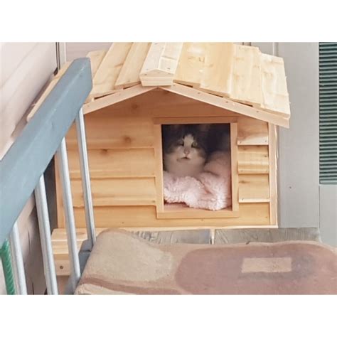 Winter Cedar Cat House for Feral Cats Insulated with Thermal-Ply Insulation