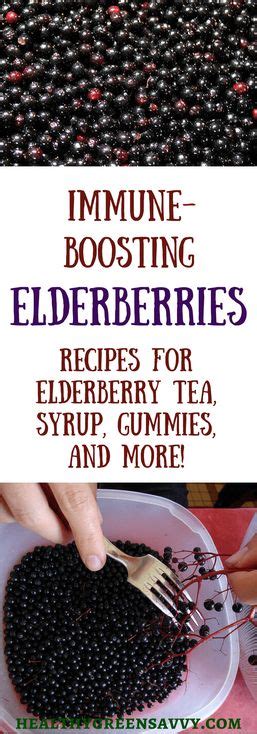 Incredible Health Benefits Of Elderberries How To Get Them