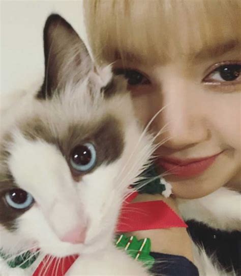 Cover BLACKPINK Lisa Cat Luca