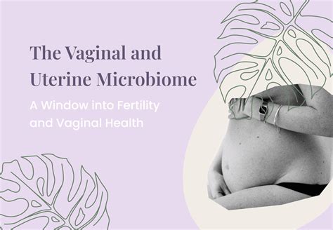 The Vaginal And Uterine Microbiome And Fertility A Comprehensive Guide