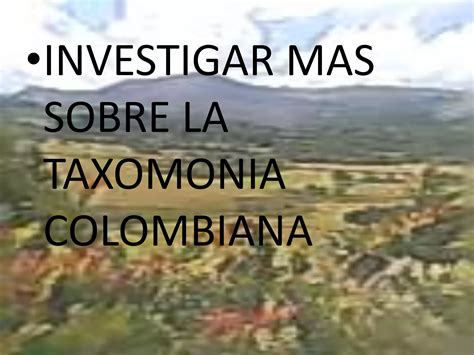 Ventajas Del Estudio De Biodiversidad En Colombia Ppt