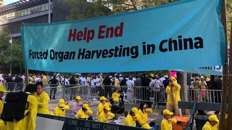 Survivors And Victims On Shocking State Sanctioned Organ Harvesting In China Fox News