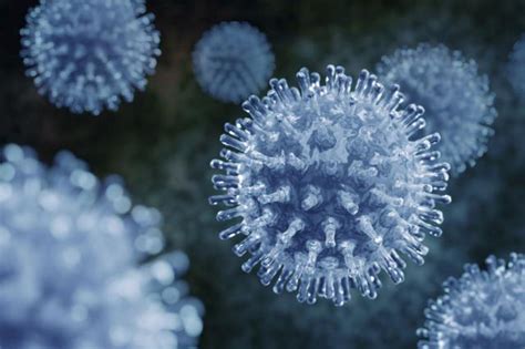 7 Facts About Viruses