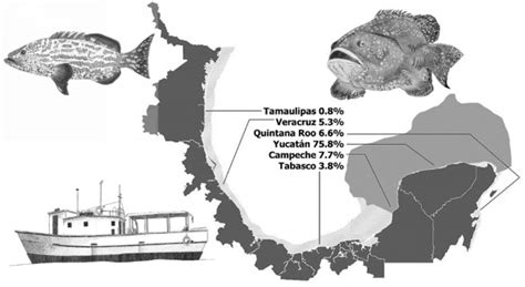 Dof Diario Oficial De La Federación