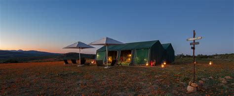 Namaqua Flower Skilpad Camp | Nature reserve, Unforgettable experiences, Camping