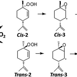 Reaction Mechanism Of Limonene With Singlet Oxygen To Cis And Trans LO