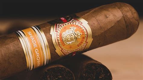 Forged Cigar Company Introduces El Rey Del Mundo Shade Grown With Honduran Connecticut Shade