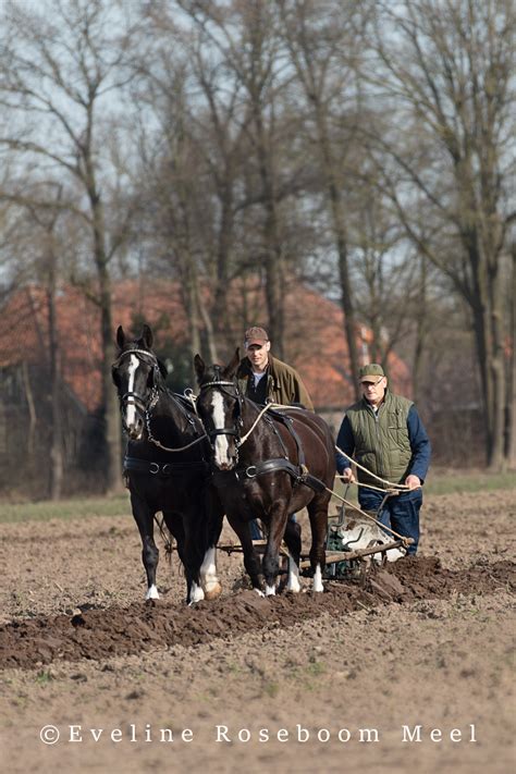 Henk En Hendrik Jan Van De Vliert Reportage Voor Mensport Magazine