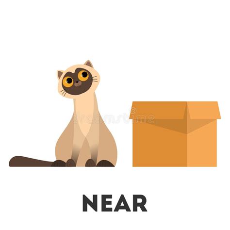 preposition