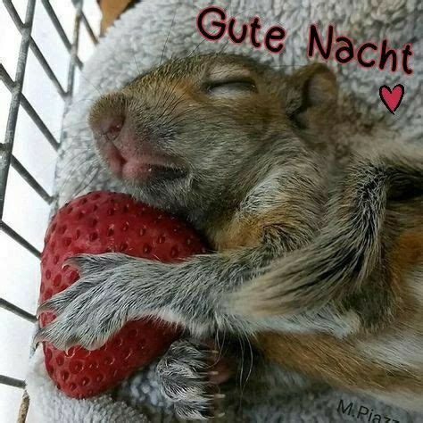 Pin Von Susanne Doehmann Auf Days Gute Nacht Gute Nacht Gr E