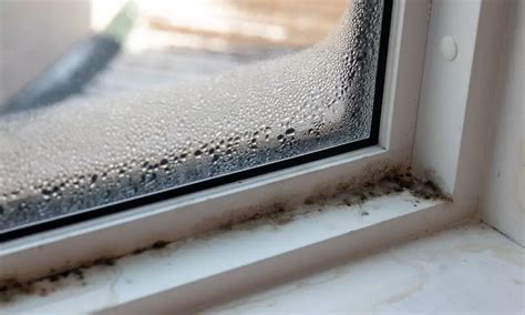 Where To Check For Mold In Your Home During The Summer