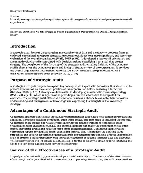 Essay On Strategic Audit Progress From Specialized Perception To