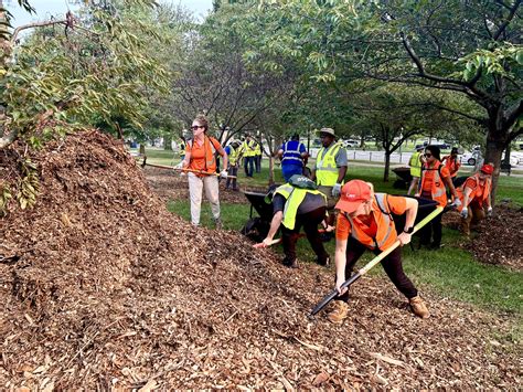 Lawn And Landscape Professionals Volunteer For The 27th Renewal