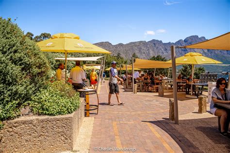 The 7 Best Wine Farms In Stellenbosch You Can't Miss! - CHARLIES WANDERINGS