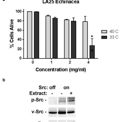 Effects Of Echinacea Extract On Src Transformed Cells And Kinase