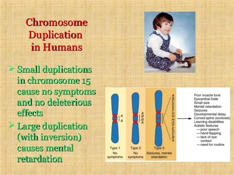 chromosomal mutation