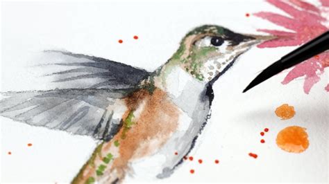 Watercolor Backyard Birds Hummingbird Easy Painting Tutorial Youtube