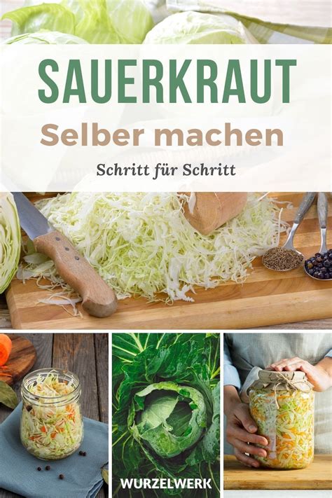 Sauerkraut Selber Machen Im Glas Oder Steintopf Wurzelwerk