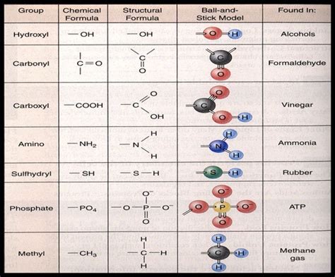 Biology Unit 1 Molecules Of Life Flashcards Quizlet