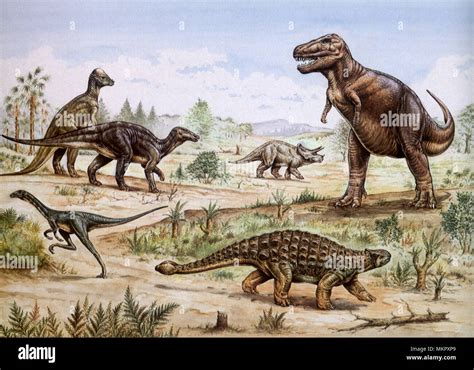 Cretaceous Period List Of Dinosaurs Of The Cretaceous, 47% OFF