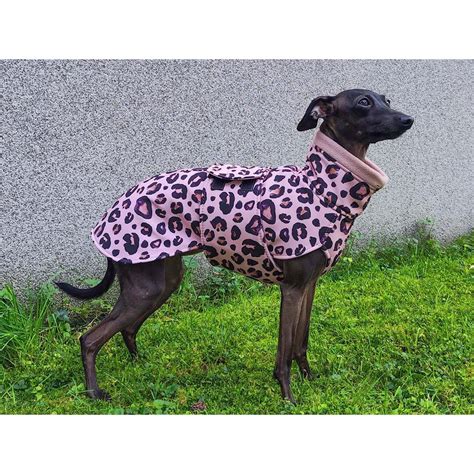 Italian Greyhound Coat Italian Greyhound Winter Coat With A Lining