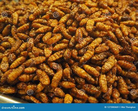 Fried Insects, Meal, bees. stock image. Image of bees - 127300469