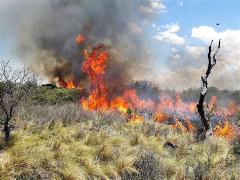 Estas Son Las Provincias Argentinas Que Siguen Con Focos Activos De