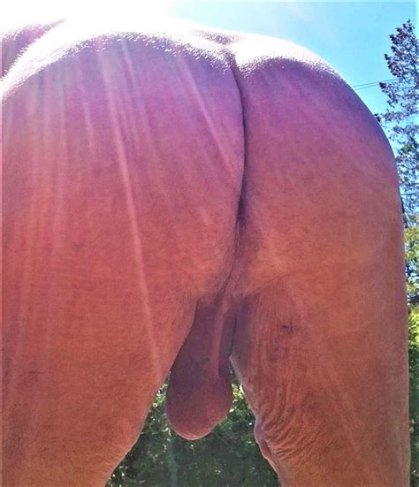 Long Live Naturism At Home Nude Office At Home Pics Xhamster