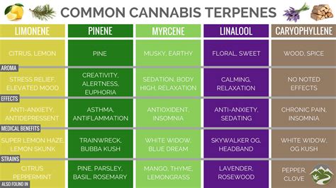 What Is Cannabis Massage Topicals LLC