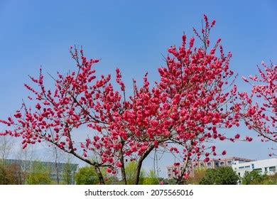 Kyonggi University Photos, Images and Pictures 