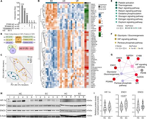 Integrative Proteo Transcriptomic And Immunophenotyping Signatures Of