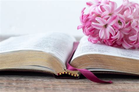 1680 Open Bible Flower Stock Photos Free And Royalty Free Stock Photos