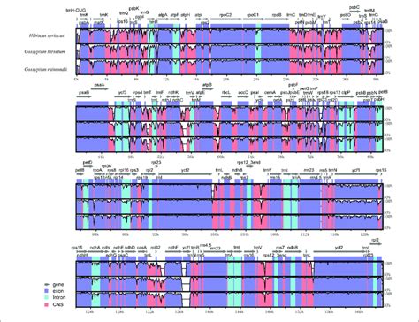 Sequence Identity Plot Comparing The Chloroplast Genome Of Hibiscus