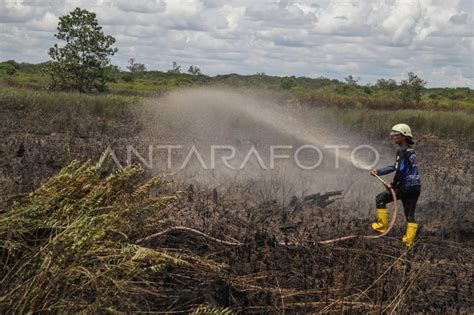 Pemadaman Karhutla Gambut Di Palangka Raya Antara Foto