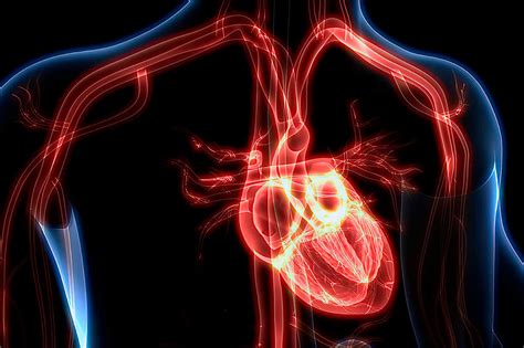 Miocarditis Tras La Vacuna Contra El Covid 19 En Israel