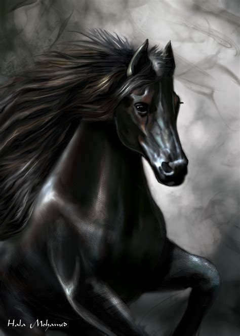 Black Horse Art By Hala Mohamed