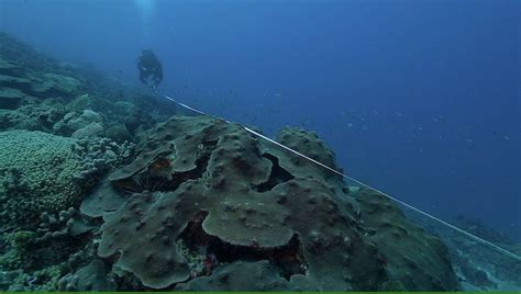 nova blue environment interlocuteurs