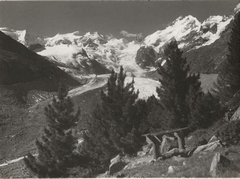 Albert Steiner Morteratschgletscher Piz Pal Kaufen Auf Ricardo