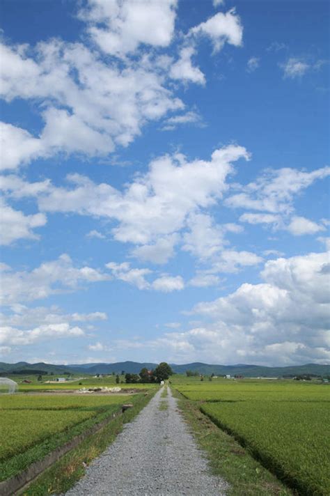 无人竖图室外白天正面旅游度假草地草坪美景植物道路路北海道日本亚洲景观山川云云朵小路交通云彩娱乐