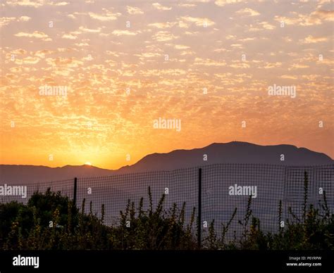 Zucchabar hi-res stock photography and images - Alamy