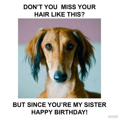 Funny Happy Birthday Sister Memes - Hadria Jaquenette