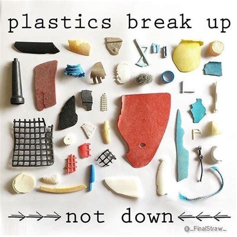 Plastic doesn't biodegrade it photodegrades which means it never goes ...