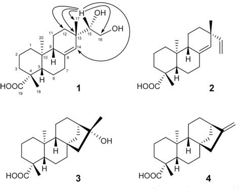 Figure 1 From Absolute Configuration Of A Diterpene With An Acyclic 1 2