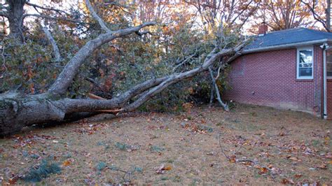 Does Home Insurance Cover A Tree Falling On House Heritage Advises