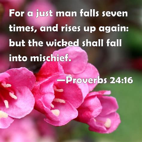 Proverbs 24:16 For a just man falls seven times, and rises up again ...
