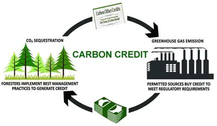 Carbon Trading In The Agriculture Sector Iasbaba