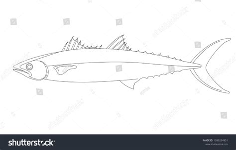 Mackerel Fish Vector Illustration Lining Draw Royalty Free Stock