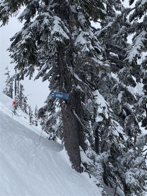 A Great day for Alpental! : r/skiing